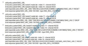 1Y0-204 Reliable Exam Labs